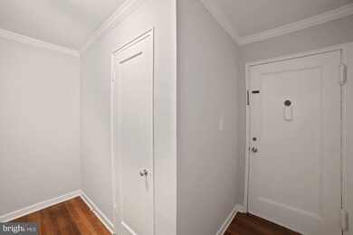 2217 Washington Ave unit 103, Silver Spring, MD 20910 - photo 3