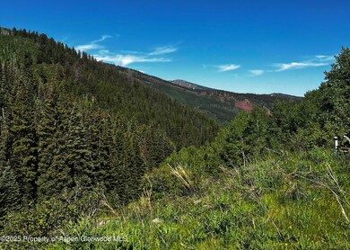 2601 Midnight Mine Rd, Aspen, CO 81611 - photo 4