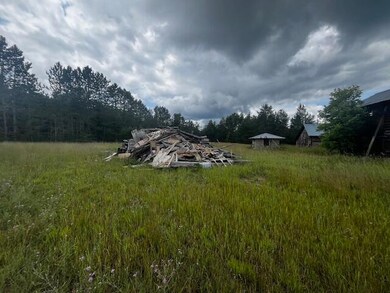 IMG_6704
