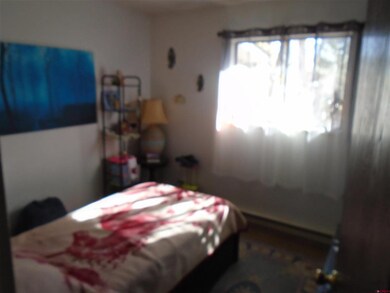 690 SW 8th Ave, Cedaredge, CO 81413 - photo 4