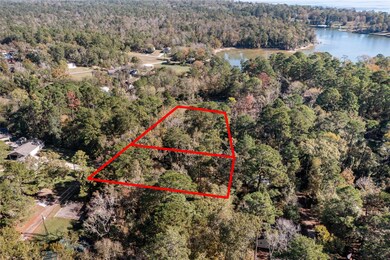 0 N Lakeview Dr unit 67956245, Point Blank, TX 77364 - photo 3