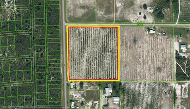 unlisted-address, Lake Placid, FL 33852 - photo 2