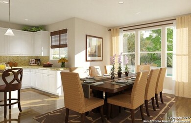 10833 Tansy Canyon, Helotes, TX 78023 - photo 3