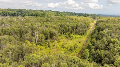 18-1854 Kuahiwi Rd, Mountain View, HI 96771 - photo 3