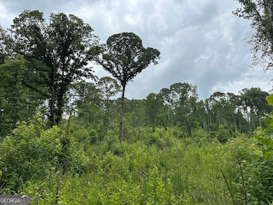 0 Waterview Dr unit 10554814, Lagrange, GA 30240 - photo 2