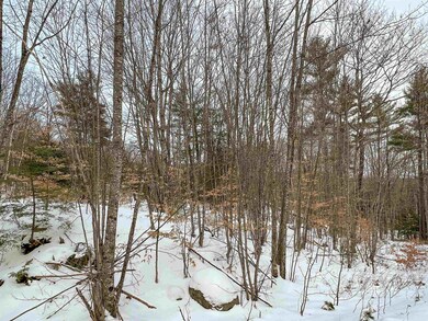 00 Fox Rd unit 18, Madison, NH 03849 - photo 4