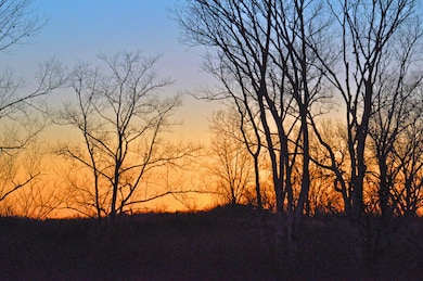 DSC_6638 A