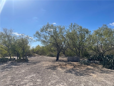 10 acres Cr 421, Christine, TX 78012 - photo 2