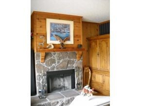 EXTRA DEN FIREPLACE