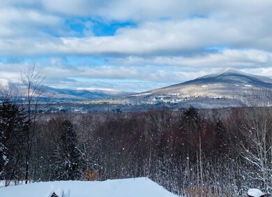 11 Sunny Hill Rd, Winhall, VT 05255 - photo 4