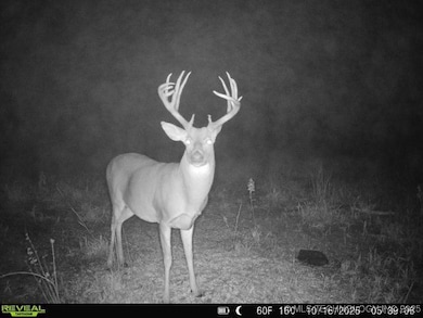 7 SE Lenapah St, Skiatook, OK 74070 - photo 3