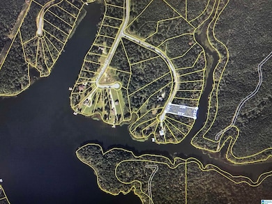 LOT 9 Paint Creek Overlook unit lot 9, Weogufka, AL 35151 - photo 4