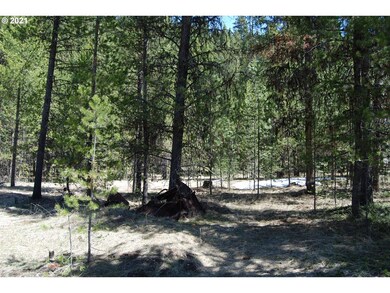 0 Barrett St unit 20022010, Granite, OR 97877 - photo 7