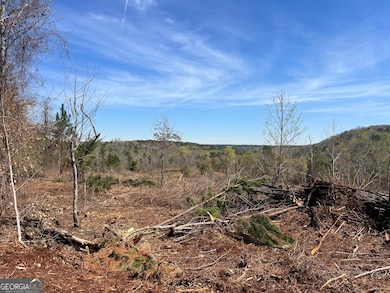 0 Hwy 36 unit LOT 3, Woodland, GA 31836 - photo 5