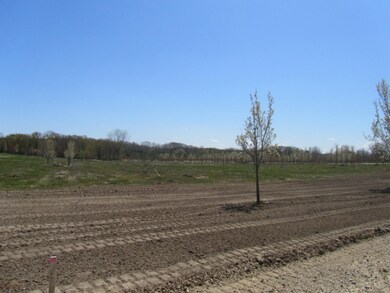 Golden Valley lot 7