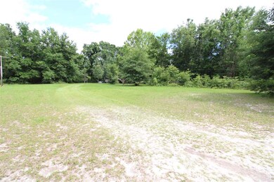 3585 Spring Creek Hwy, Crawfordville, FL 32327 - photo 3