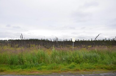 Greenbelt across the unit