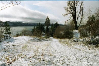 9 P-9 Highway 101, Lilliwaup, WA 98555 - photo 6