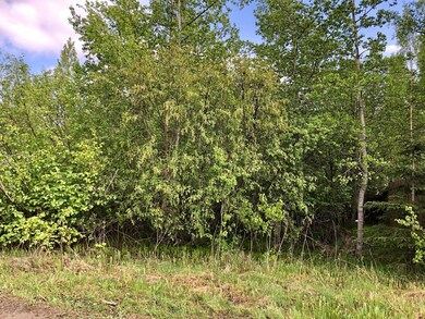 Good Birch trees