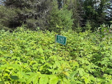 3280 Murmuring Pines Trail, Pelican, WI 54501 - photo 6