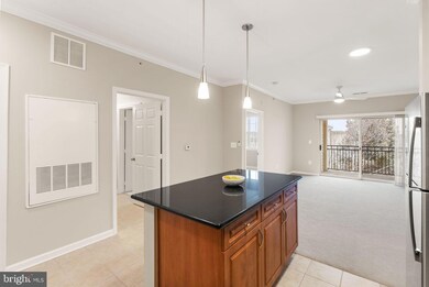 Bryson At Woodland Park unit 401, Herndon, VA 20171 - photo 6