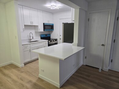 5117 N East River Rd unit 1A, Chicago, IL 60656 - photo 2