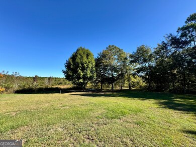 4065 Gordon Rd, Abbeville, GA 31001 - photo 6