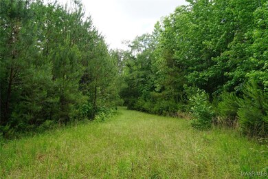 25940 Troy Hwy, Ramer, AL 36036 - photo 6