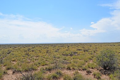 Lot 10 Rio Del Oro Loop unit 53, Los Lunas, NM 87031 - photo 3