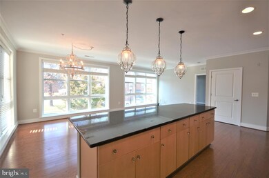 815 N Patrick St unit 202, Alexandria, VA 22314 - photo 6