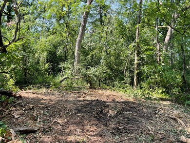 41.94 Acres US Highway 14, Harvard, IL 60033 - photo 5