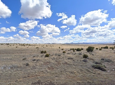 4288 Topaz Rd unit Golden Valley AZ 864, Golden Valley, AZ 86413 - photo 4