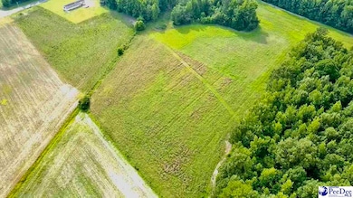 1914 N Old Georgetown Rd, Scranton, SC 29591 - photo 7