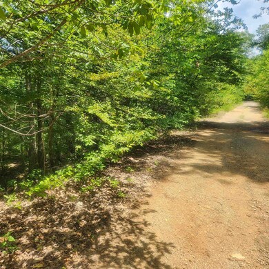 L-27, B-15 Goti Dr, Cherokee Village, AR 72529 - photo 5