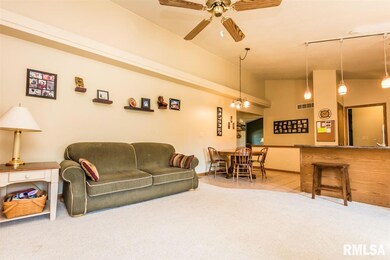 5528 N Ramblewood Ct, Peoria, IL 61615 - photo 7