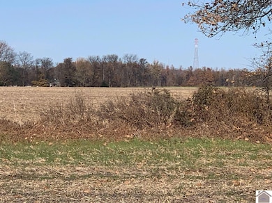 000 Crawford Lake Rd, Kevil, KY 42053 - photo 6