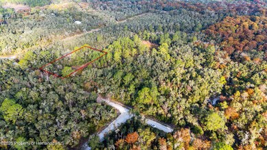 0 Rose Bloom Lot 7 Ave unit 2256782, Webster, FL 33597 - photo 2