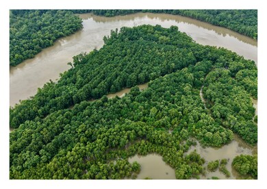 787 Lower Lockhart Rd, Cord, AR 72524 - photo 7