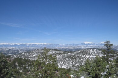 655 Mora Ln unit 79, Trinidad, CO 81082 - photo 4