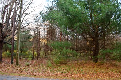 EKW_4196