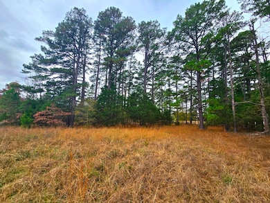 20288 State Highway 63, Hogen, OK 74939 - photo 6