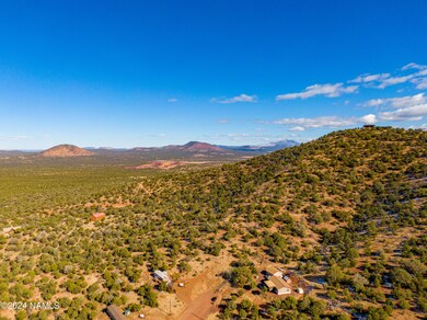 Aerial Lot View