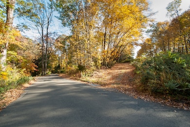 Berkshire Rd coming up on entrance to the driveway