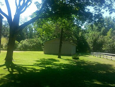 Yard/Garden.