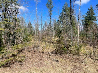 480 Acres Off Cr Aaa Rd, Michigamme, MI 49861 - photo 7