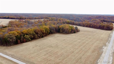 Tract 11 Polston Ln, Hickory Grove Township, MO 63357 - photo 4