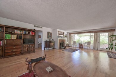 Bright Living Room