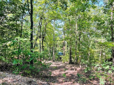 2362 N State Highway 265 unit 20 Acres M/L, Branson, MO 65616 - photo 7