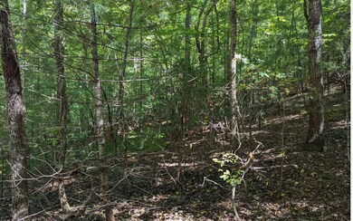 Additional View