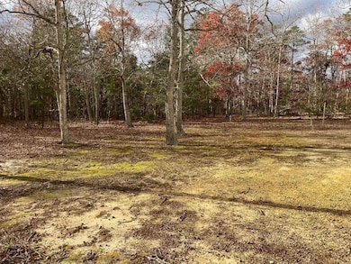 124 Butter Rd, Ocean View, NJ 08230 - photo 5